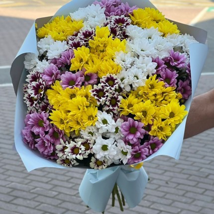 Букет из разноцветных хризантем - купить с доставкой в по Белокурихе